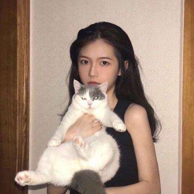 攻击菜鸟游戏下载